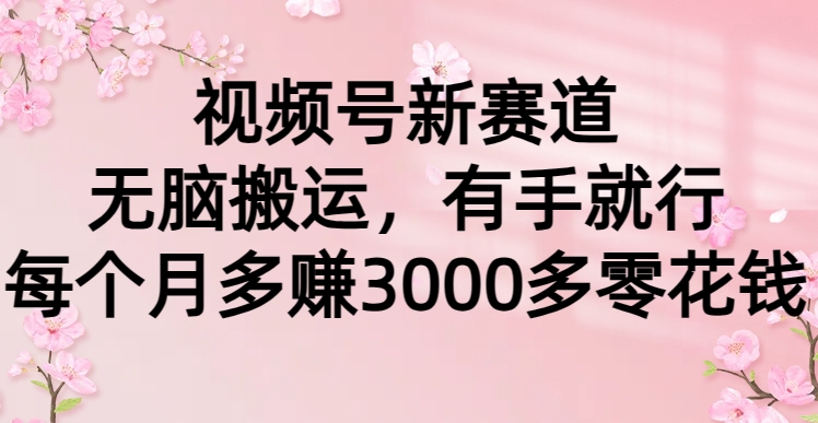 视频号新赛道,无脑搬运,有手就行,每个月多赚3000多零花钱