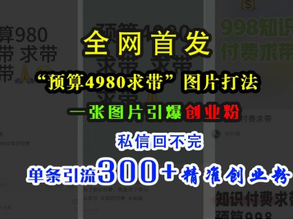 小红书“预算4980带我飞”图片打法,一张图片引爆创业粉,私信回不完,单条引流300+精准创业粉