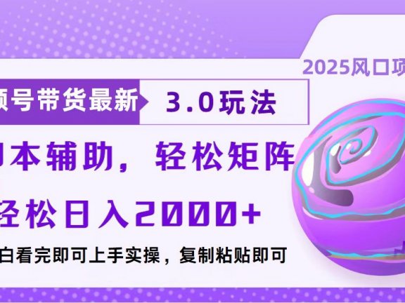 视频号带货最新3.0玩法,作品制作简单,当天起号,复制粘贴,脚本辅助,轻松矩阵日入2000+