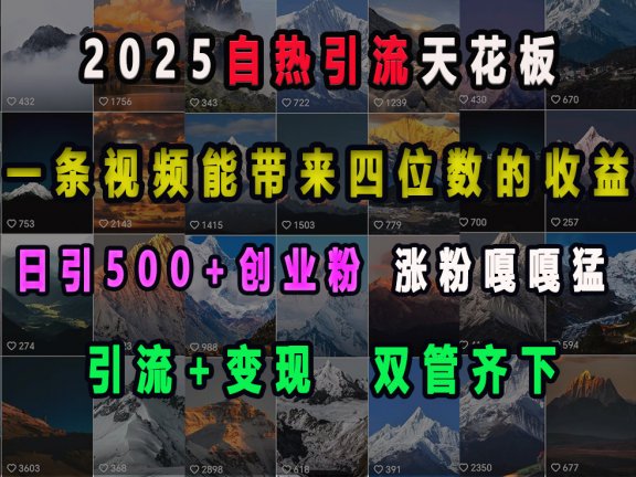 2025自热引流天花板,一条视频能带来四位数的收益,引流+变现双管齐下,日引500+创业粉,涨粉嘎嘎猛