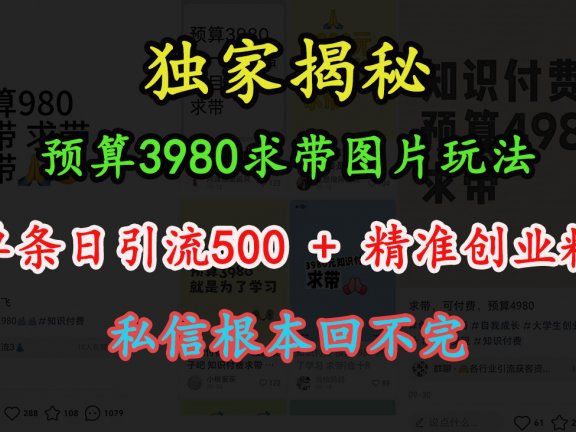 “小红书”预算3980求带 图片玩法,单条日引流500+精准创业粉,私信根本回不完