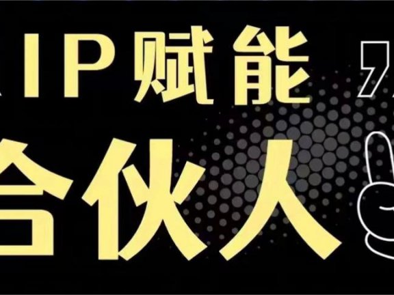 超级个体-极客搞钱-IP赋能合伙人!!!