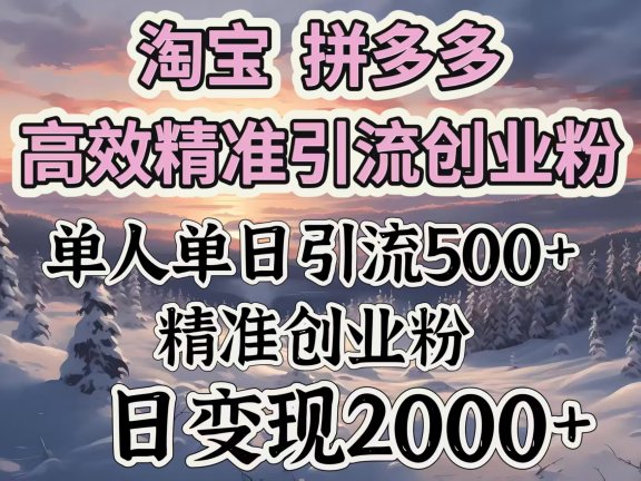淘宝拼多多高效精准引流创业粉,单人单日引流500+创业粉,日变现2000+