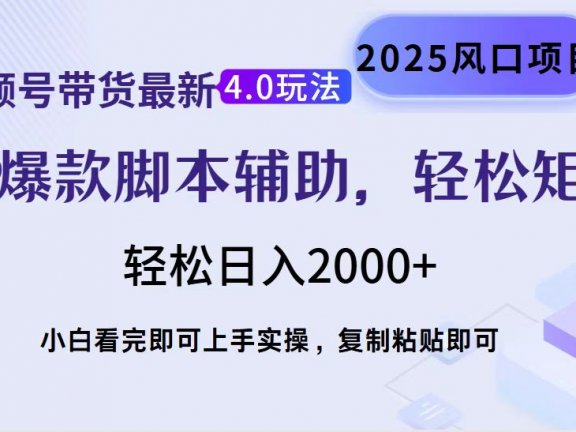 视频号带货最新4.0玩法,作品制作简单,当天起号,复制粘贴,脚本辅助,轻松矩阵日入2000+