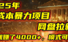 2025年，一个0成本的暴力项目，靠网盘拉新，有人一天就赚了4000+，模式可复制！