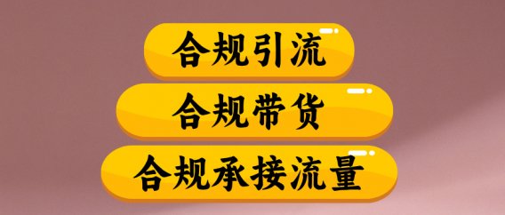 合规引流、合规并且高效地做带货、合规承接流量（揭秘）